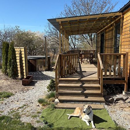 Tiny Beach House Heated And Airconditioned Wapnica  Εξωτερικό φωτογραφία